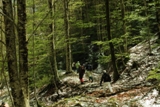 Clicca qui per vedere l'immagine in dettaglio